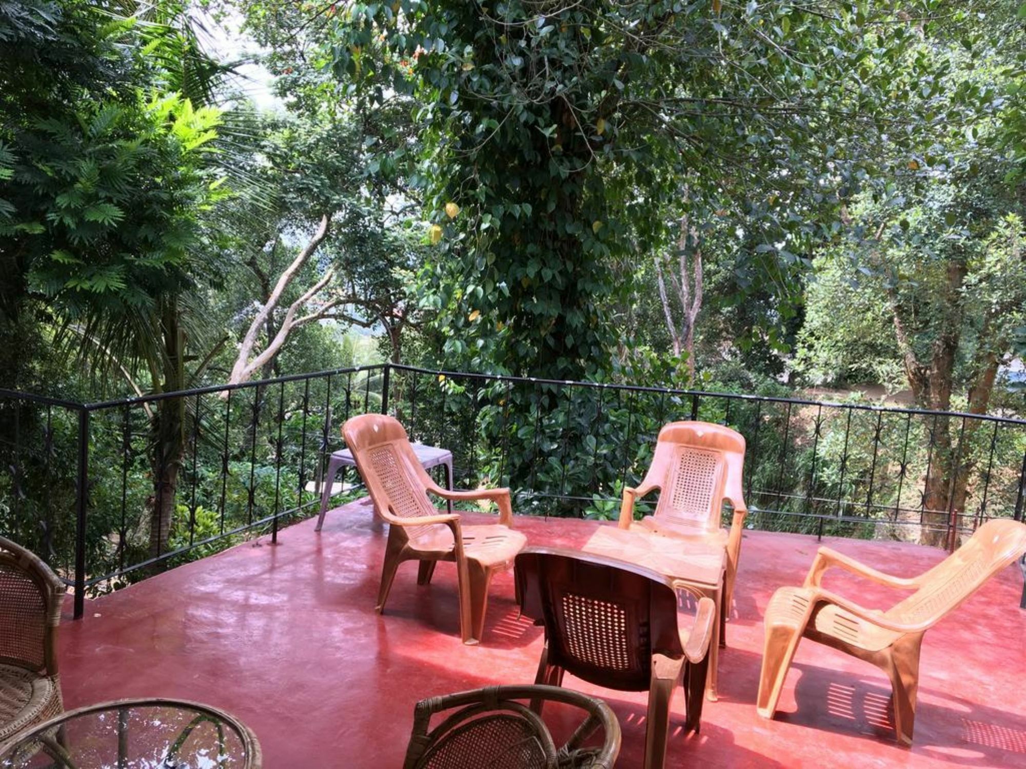 Kandy Shady Trees Villa Exterior photo
