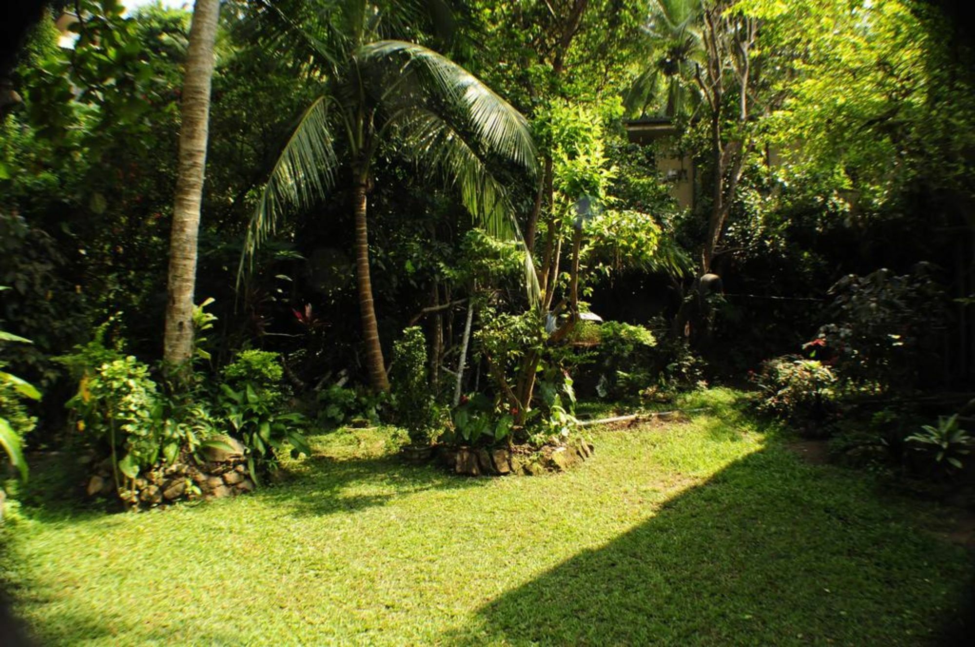 Kandy Shady Trees Villa Exterior photo
