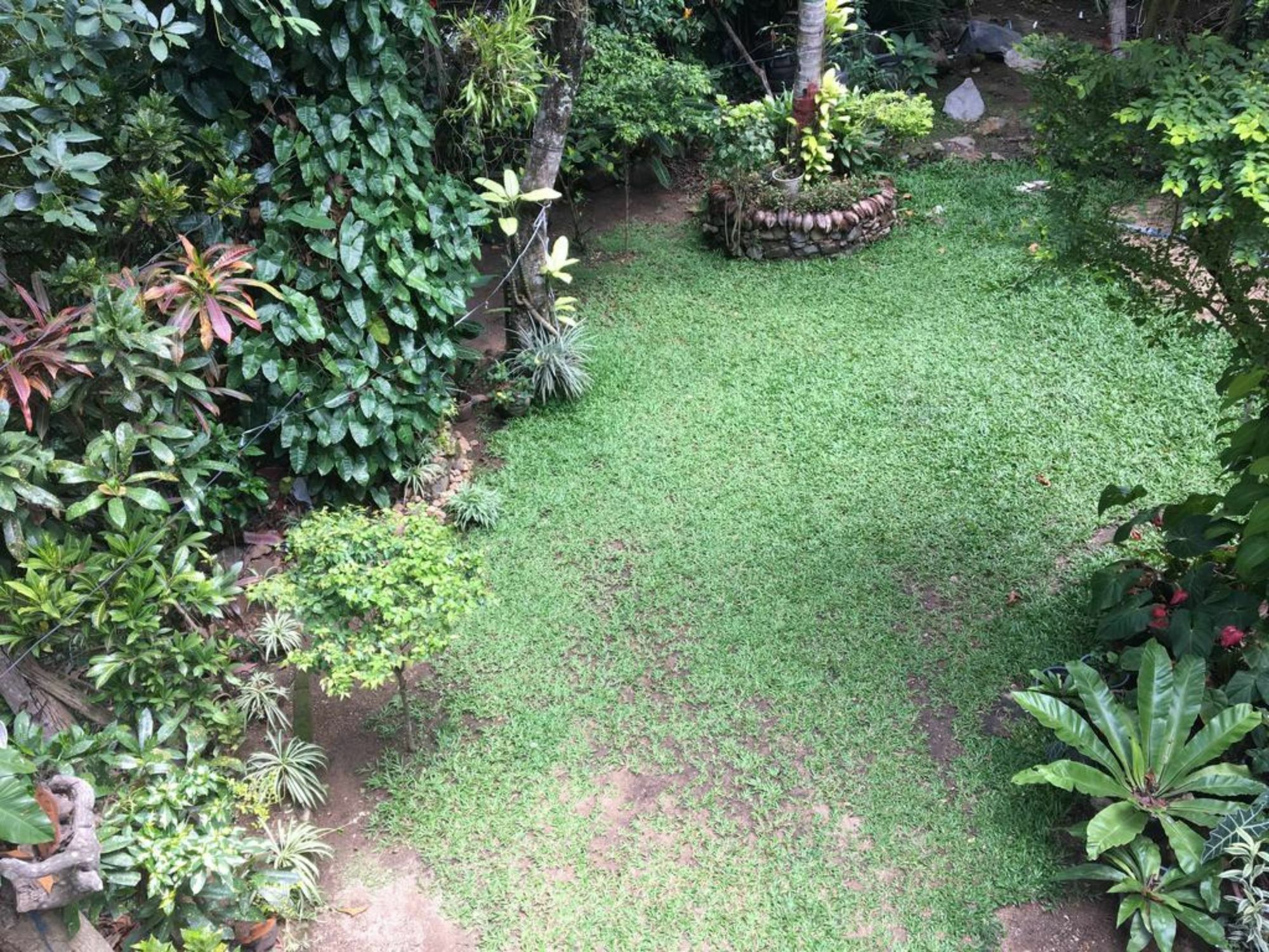 Kandy Shady Trees Villa Exterior photo